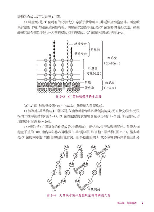 病原生物与免疫学基础 刘忠立 国家卫健委十四五规划教材 全国中等卫生职业教育教材 供护理专业用 人民卫生出版社9787117362900 商品图4