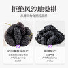 方家铺子  桑椹干500g（四星）/瓶装 商品缩略图1