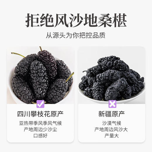 方家铺子  桑椹干500g（四星）/瓶装 商品图1