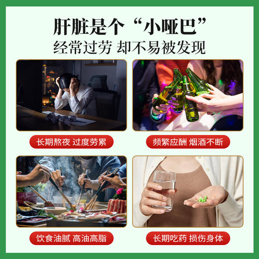 天天清养肝护肝茶  2g/袋*12袋 润肠通便绞股蓝 商品图3