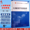 人体解剖学实验教程 全国中医药行业高等教育十四五创新教材 供医学类等专业用 李新华 王媛媛主编 中国中医药出版社9787513288491 商品缩略图0