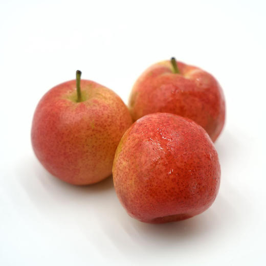 甜蜜彩云红梨 商品图9