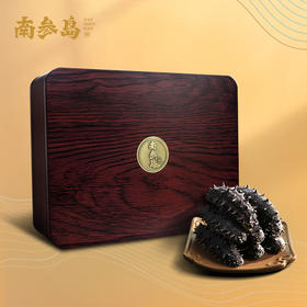 南参岛淡干海参2988型