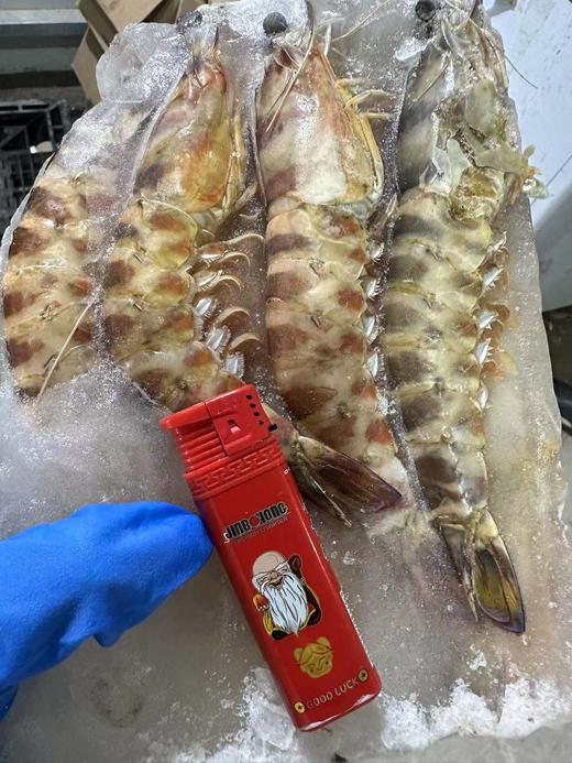 活冻野生大斑马虾1.5斤/坨，捕捞自大西洋，没有污染，纯天然，由于是船上冷冻可能会有不同品种的虾，介意慎拍，全国包邮。 商品图7