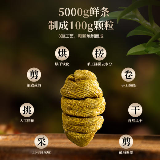 雷允上直营|云南一级铁皮石斛礼盒100g/盒   胶质饱满  节日送礼 商品图6