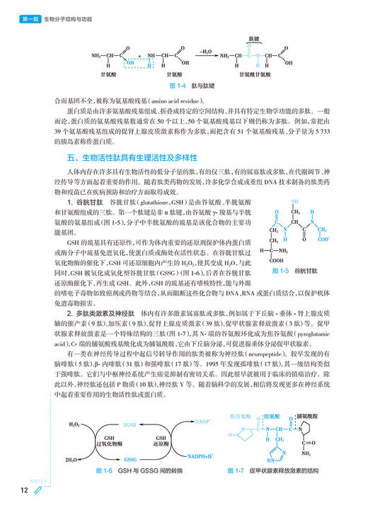 生物化学与分子生物学 第10版人卫第十版有机化学生理病理药理诊断妇产科学九9新妇产科课本人民卫生出版社大学临床医学专业教材 商品图3