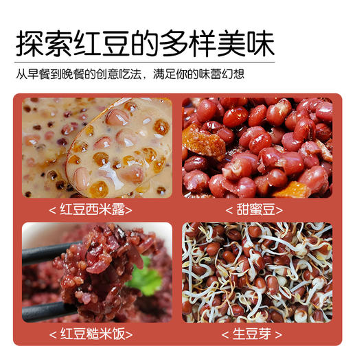 【有机红豆】350g实惠装东北新豆农场新鲜红豆丨350g 商品图2