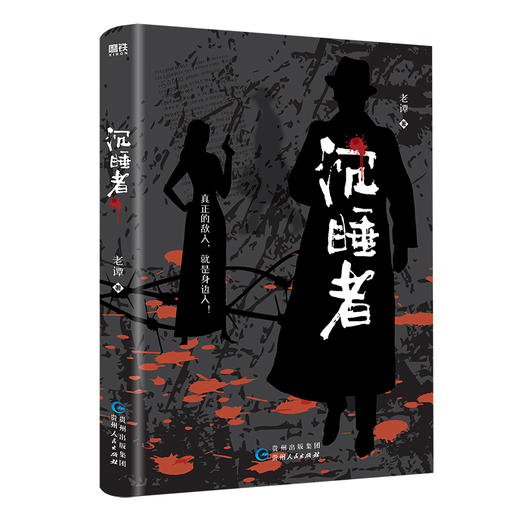 沉睡者 老谭著 中国军旅作家 民国时期悬疑推理小说 商品图2
