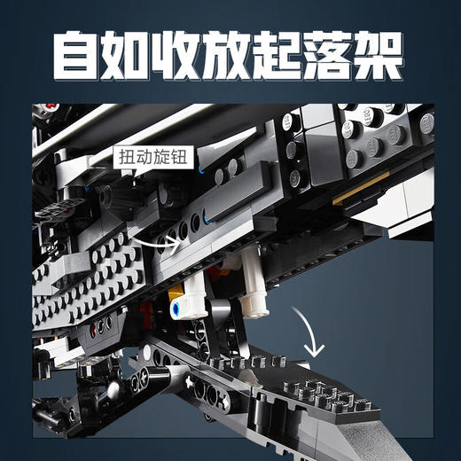 H乐高积木L10327	乐高创意高手系列沙丘扑翼机 商品图4