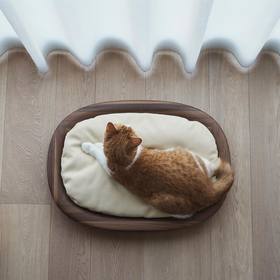 KARIMOKU CAT 宠物定制家具猫床实木四季通用不占地