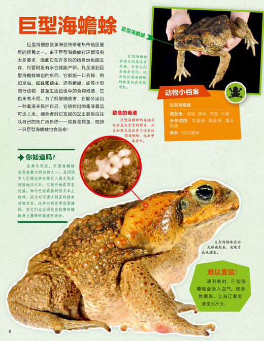 《德国少年儿童动物+植物大百科》（全2册） 商品图11