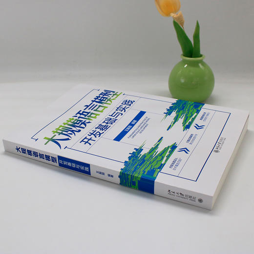 大规模语言模型开发基础与实践 王振丽 编著 北京大学出版社 商品图3