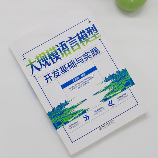 大规模语言模型开发基础与实践 王振丽 编著 北京大学出版社 商品图2