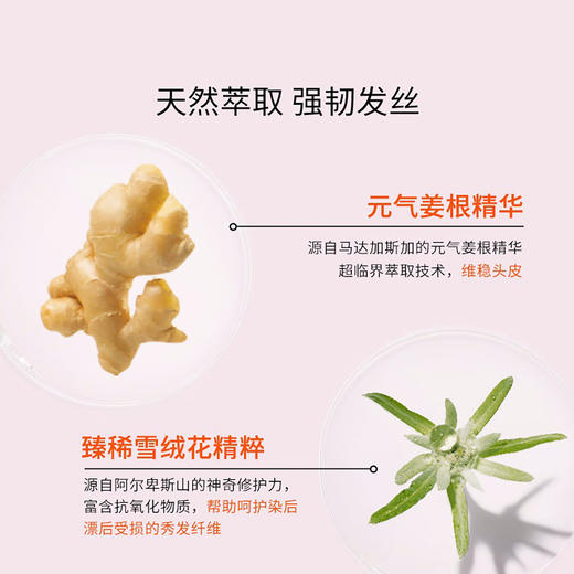 卡诗海源黑钻发膜 元气姜发膜 修护补水柔顺留香改善毛躁200ml 商品图5