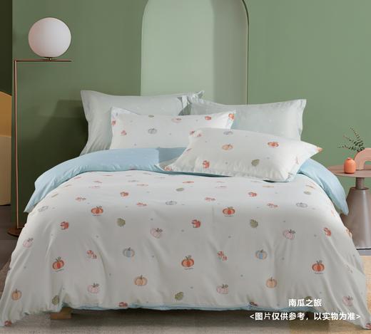 【远梦】静雅纯棉四件套 商品图1