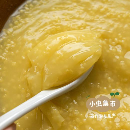 【2025年新米】有机敖汉南大城小米 5斤装| 合作农友生产，产自内蒙古敖汉核心产区，生产者:安亮 &【公平贸易农人定价】 商品图2