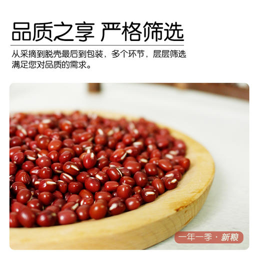 【有机红豆】350g实惠装东北新豆农场新鲜红豆丨350g 商品图3