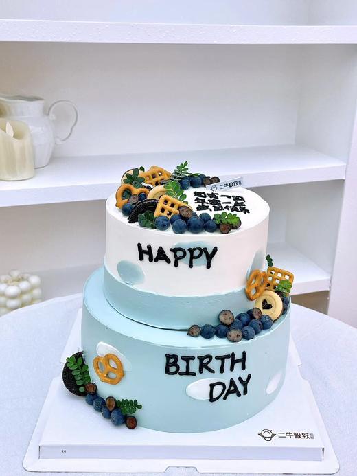 双层--蓝莓先生 商品图0