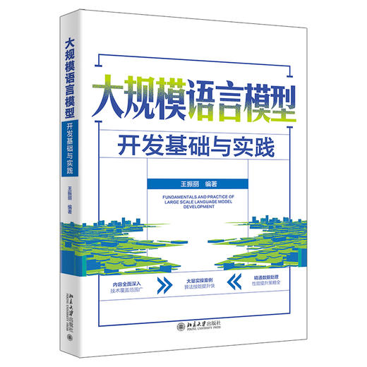 大规模语言模型开发基础与实践 王振丽 编著 北京大学出版社 商品图0