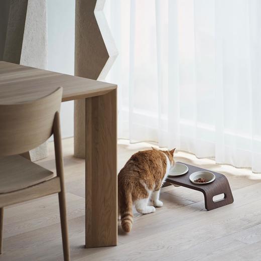 KARIMOKU CAT 宠物定制家具实木猫咪桌子防打翻护颈 商品图3