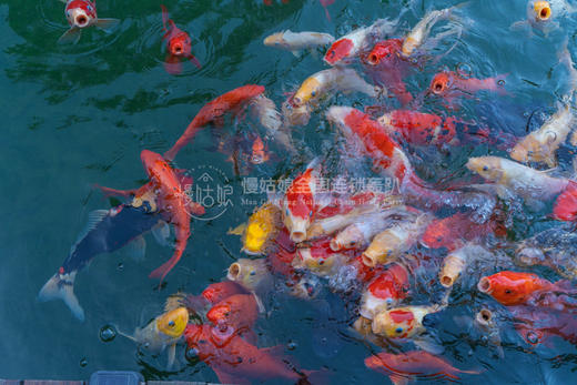 杭州慢姑娘再回首轰趴馆 商品图11