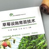 【草莓育苗】草莓设施育苗技术（育苗 设施设备 流程 田间管理 ） 商品缩略图1