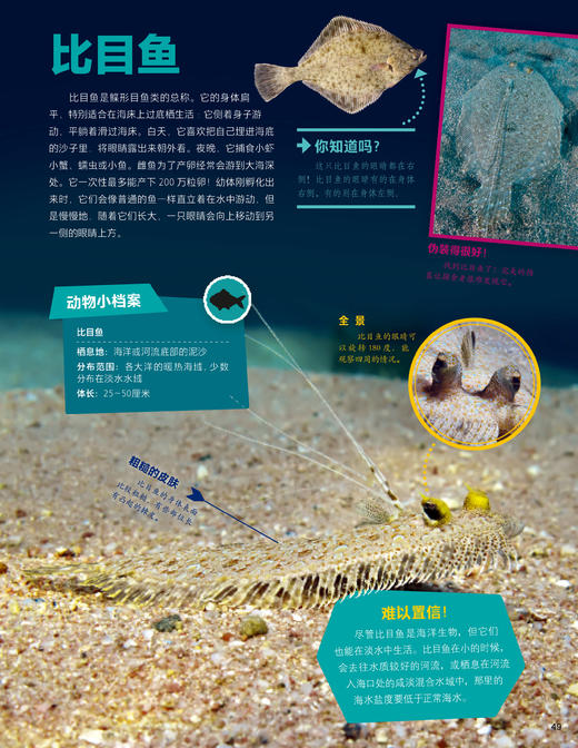 《德国少年儿童动物+植物大百科》（全2册） 商品图13