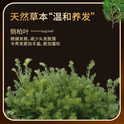 润根源防脱洗发水 防脱养发固发 去屑止痒 蓬松控油 温和清洁 无硅油  持证防脱 商品图1