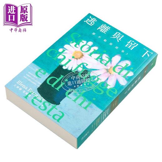 【中商原版】那不勒斯故事3 逃离与留下 港台原版 艾琳娜.斐兰德 大块文化 文学小说 商品图2