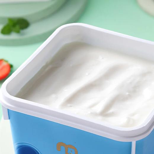 麦德龙 麦臻选 纯酸奶 1kg 商品图2