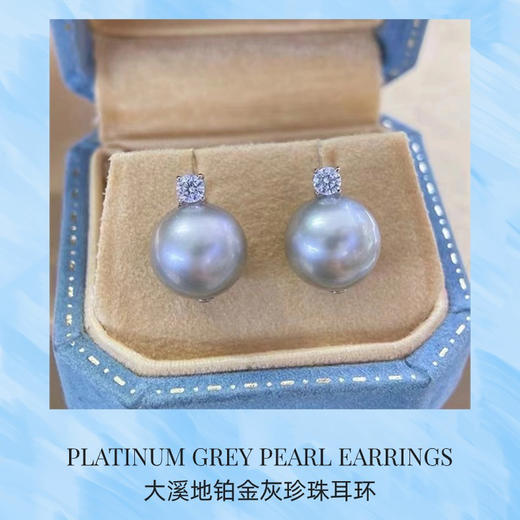 大溪地铂金灰珍珠耳环 商品图1