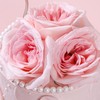 半加高|奥斯汀·粉玫瑰蛋糕【B4880】 商品缩略图2