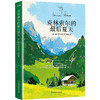 克林索尔的最后夏天 赫尔曼黑塞著 德米安悉达多外国文学小说 商品缩略图1