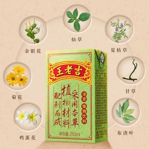 王老吉凉茶植物饮料（绿盒） 250ml*24/提 商品图1