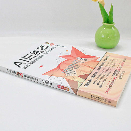 AI训练师手册：算法与模型训练从入门到精通 谷建阳 编著 北京大学出版社 商品图4