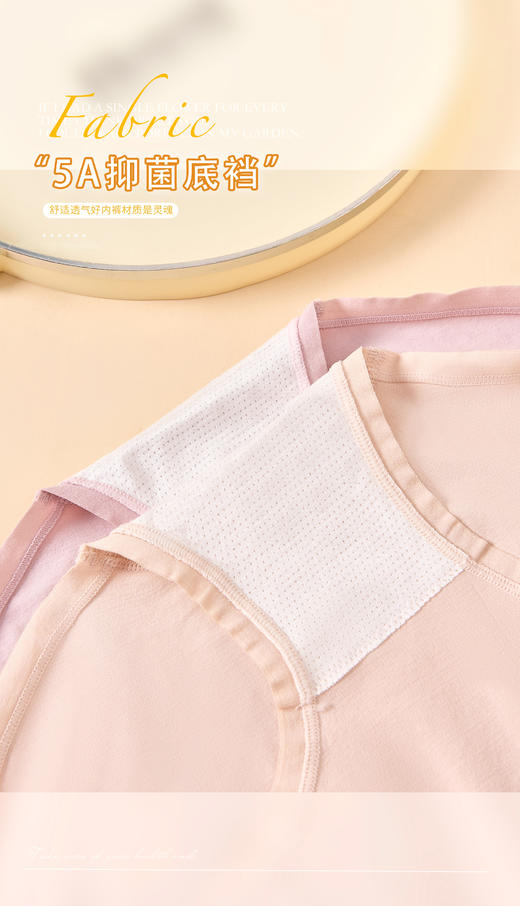 女士莫代尔高腰收腹提臀加棉裆无缝内裤22184/2037/6601/6101/1136/6402 商品图11