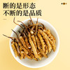 雷允上冬虫夏草断草10g/瓶 商品缩略图1