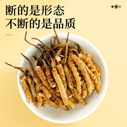 雷允上冬虫夏草断草10g/瓶 商品图1
