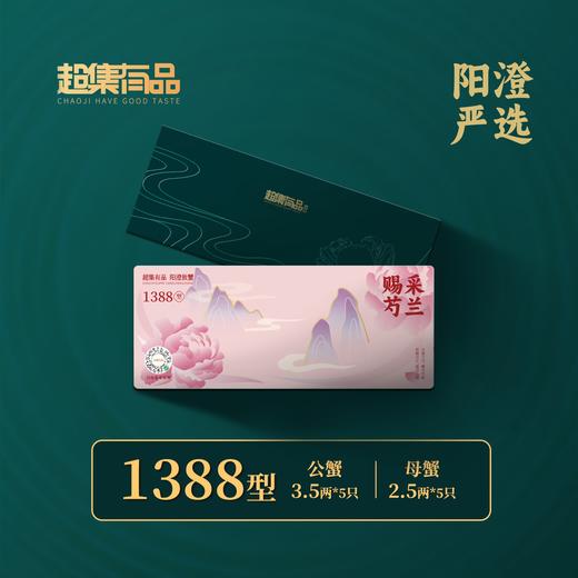 【秋高蟹肥】超集有品1388型号 五对装雄蟹3.5 两；雌蟹2.5 两 商品图1