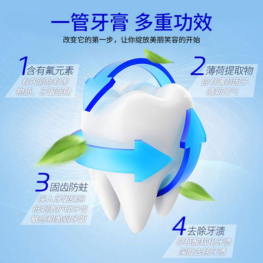 日本大白牙膏165g薄荷提取物多种清洁成分一般贸易正品 商品图1