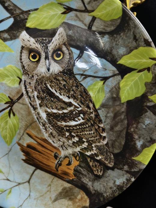 1990年英国科尔伯特智慧的猫头鹰系列赏盘，角鸮 商品图1