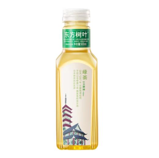 东方树叶绿茶500ml 商品图0
