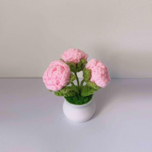 梓艺兴手工#原创编织小盆栽 商品图5