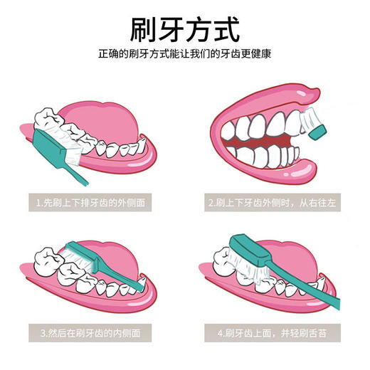 日本大白牙膏165g薄荷提取物多种清洁成分一般贸易正品 商品图3