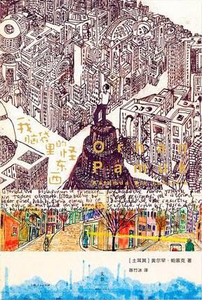 【No.10小说药丸】我脑袋里的怪东西 商品图0