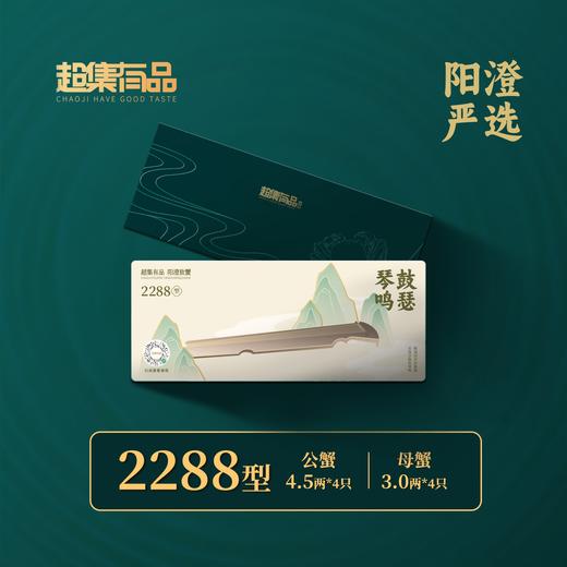 【秋高蟹肥】超集有品2288型号 四对装雄蟹4.5 两；雌蟹3.0 两 商品图1