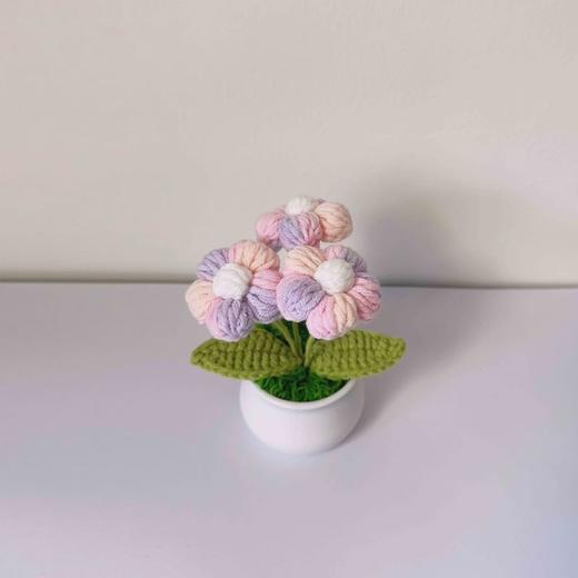 梓艺兴手工#原创编织小盆栽 商品图6