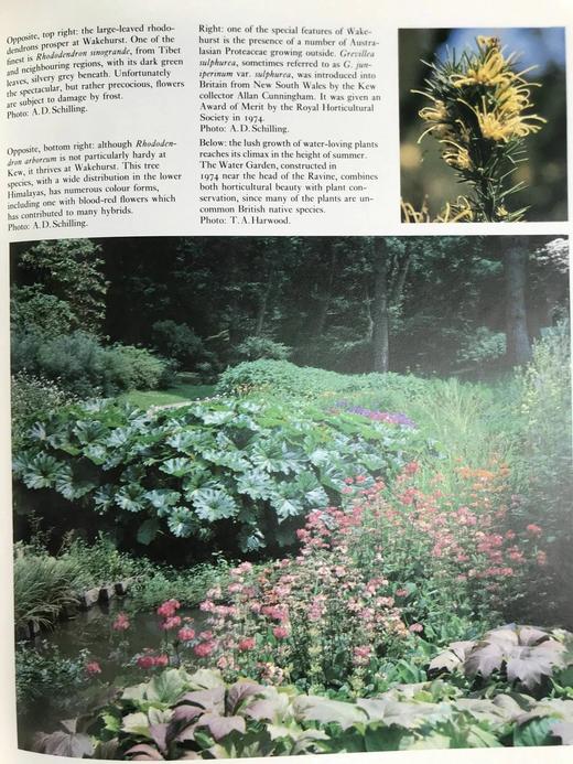 邱园：科学与娱乐的花园 数百幅插图 精装16开 商品图7