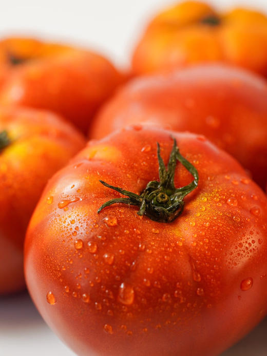 古老品种｜浓汤番茄 商品图3