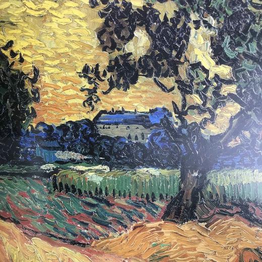 梵高美术馆藏画图集 133幅插图（89幅彩色） 精装大16开 商品图7